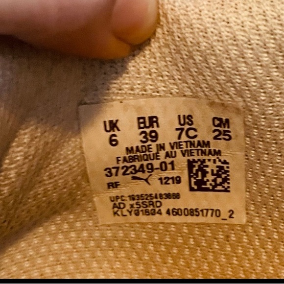 Puma multicolor - Picture 3 of 3